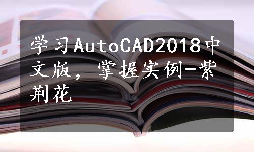 学习AutoCAD2018中文版，掌握实例-紫荆花