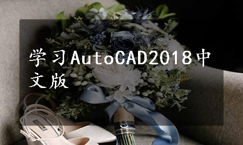 学习AutoCAD2018中文版