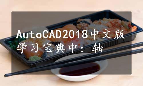 AutoCAD2018中文版学习宝典中：轴