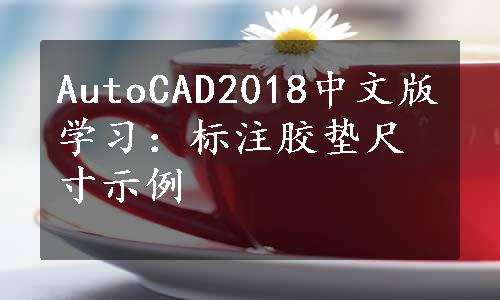 AutoCAD2018中文版学习：标注胶垫尺寸示例