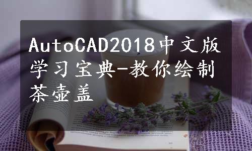 AutoCAD2018中文版学习宝典-教你绘制茶壶盖