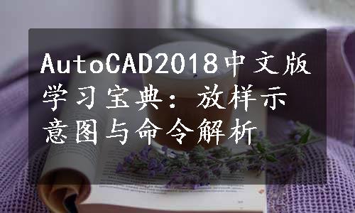 AutoCAD2018中文版学习宝典：放样示意图与命令解析