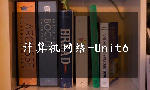 计算机网络-Unit6