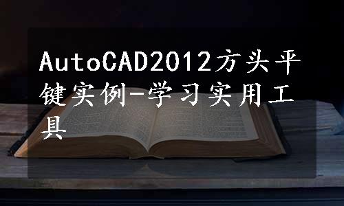 AutoCAD2012方头平键实例-学习实用工具