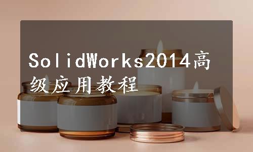SolidWorks2014高级应用教程