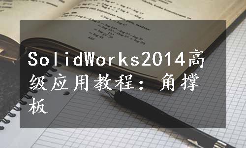 SolidWorks2014高级应用教程：角撑板