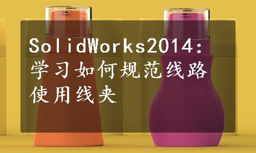 SolidWorks2014：学习如何规范线路使用线夹