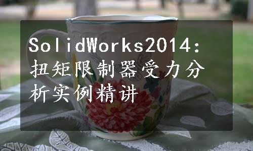 SolidWorks2014：扭矩限制器受力分析实例精讲