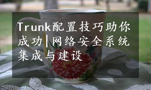 Trunk配置技巧助你成功|网络安全系统集成与建设