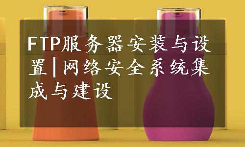 FTP服务器安装与设置|网络安全系统集成与建设