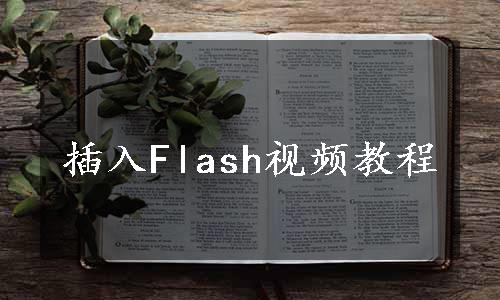 插入Flash视频教程