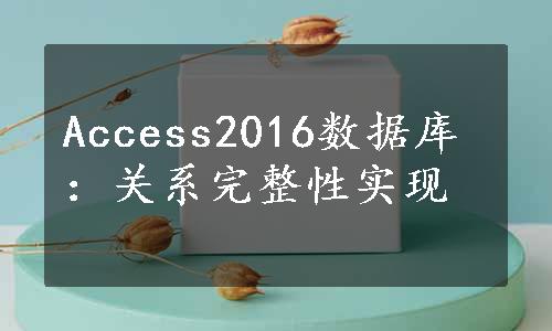 Access2016数据库：关系完整性实现