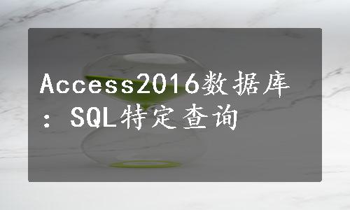 Access2016数据库：SQL特定查询