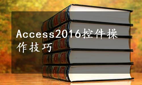 Access2016控件操作技巧