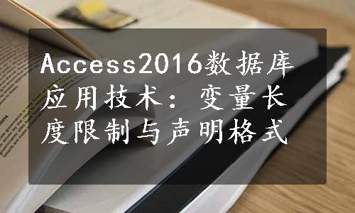 Access2016数据库应用技术：变量长度限制与声明格式