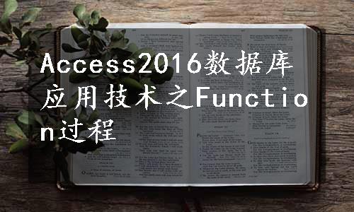 Access2016数据库应用技术之Function过程