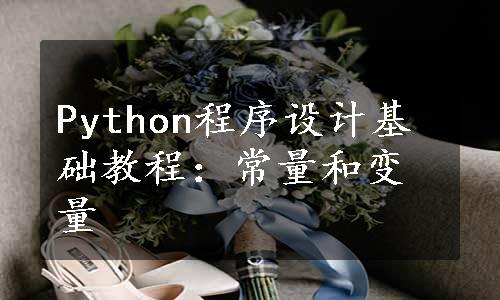 Python程序设计基础教程：常量和变量