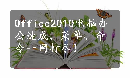 Office2010电脑办公速成，菜单、命令一网打尽！