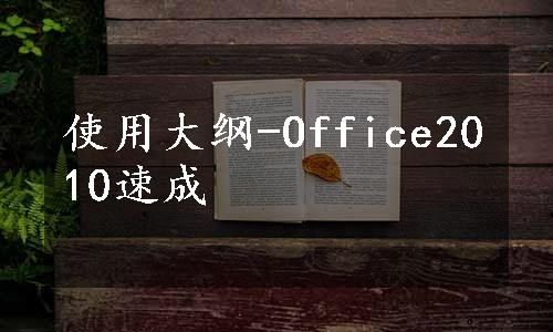 使用大纲-Office2010速成