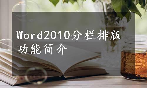 Word2010分栏排版功能简介