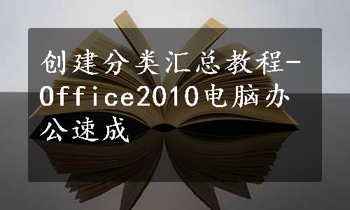 创建分类汇总教程-Office2010电脑办公速成