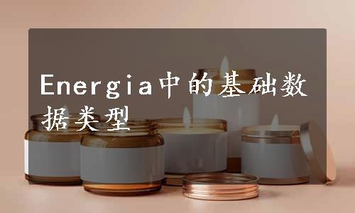 Energia中的基础数据类型