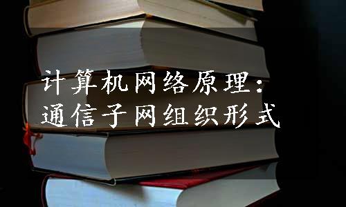 计算机网络原理：通信子网组织形式