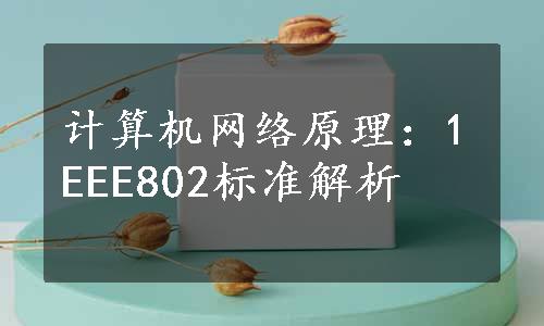 计算机网络原理：1EEE802标准解析