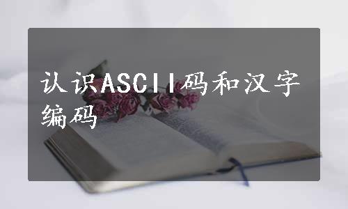 认识ASCII码和汉字编码