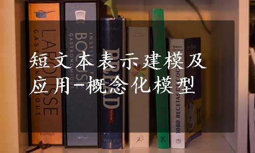 短文本表示建模及应用-概念化模型