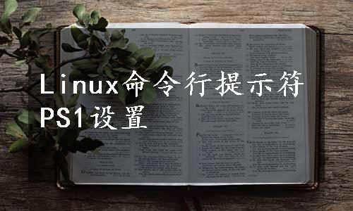 Linux命令行提示符PS1设置