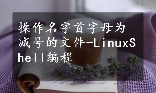 操作名字首字母为减号的文件-LinuxShell编程