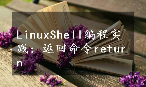 LinuxShell编程实践：返回命令return