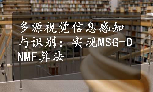 多源视觉信息感知与识别：实现MSG-DNMF算法