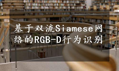 基于双流Siamese网络的RGB-D行为识别