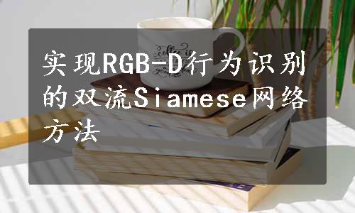 实现RGB-D行为识别的双流Siamese网络方法