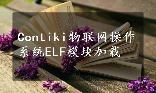 Contiki物联网操作系统ELF模块加载