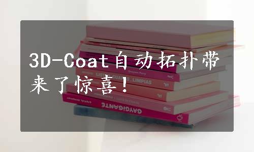 3D-Coat自动拓扑带来了惊喜！