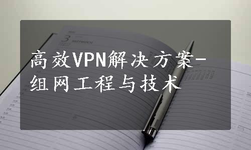 高效VPN解决方案-组网工程与技术