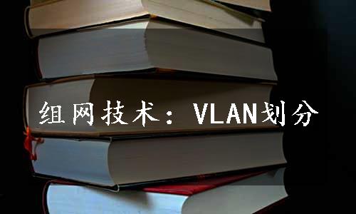 组网技术：VLAN划分