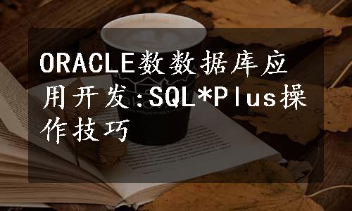 ORACLE数数据库应用开发:SQL*Plus操作技巧