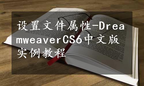 设置文件属性-DreamweaverCS6中文版实例教程