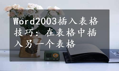 Word2003插入表格技巧：在表格中插入另一个表格