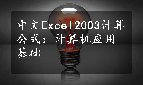 中文Excel2003计算公式：计算机应用基础