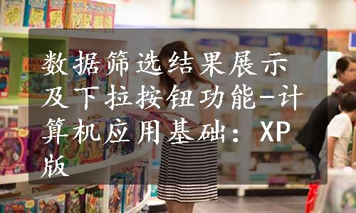 数据筛选结果展示及下拉按钮功能-计算机应用基础：XP版