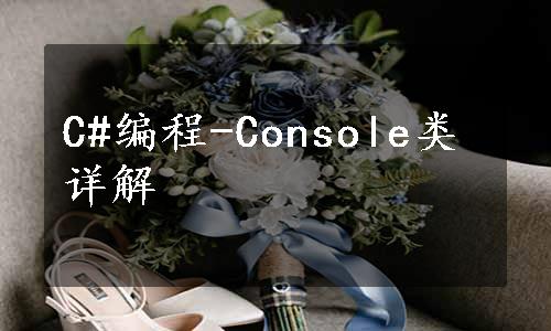 C#编程-Console类详解