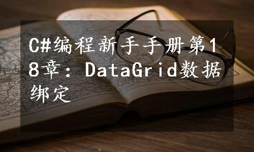 C#编程新手手册第18章：DataGrid数据绑定