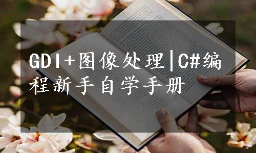 GDI+图像处理|C#编程新手自学手册