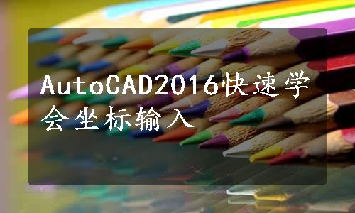 AutoCAD2016快速学会坐标输入