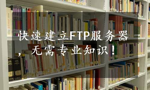 快速建立FTP服务器，无需专业知识！